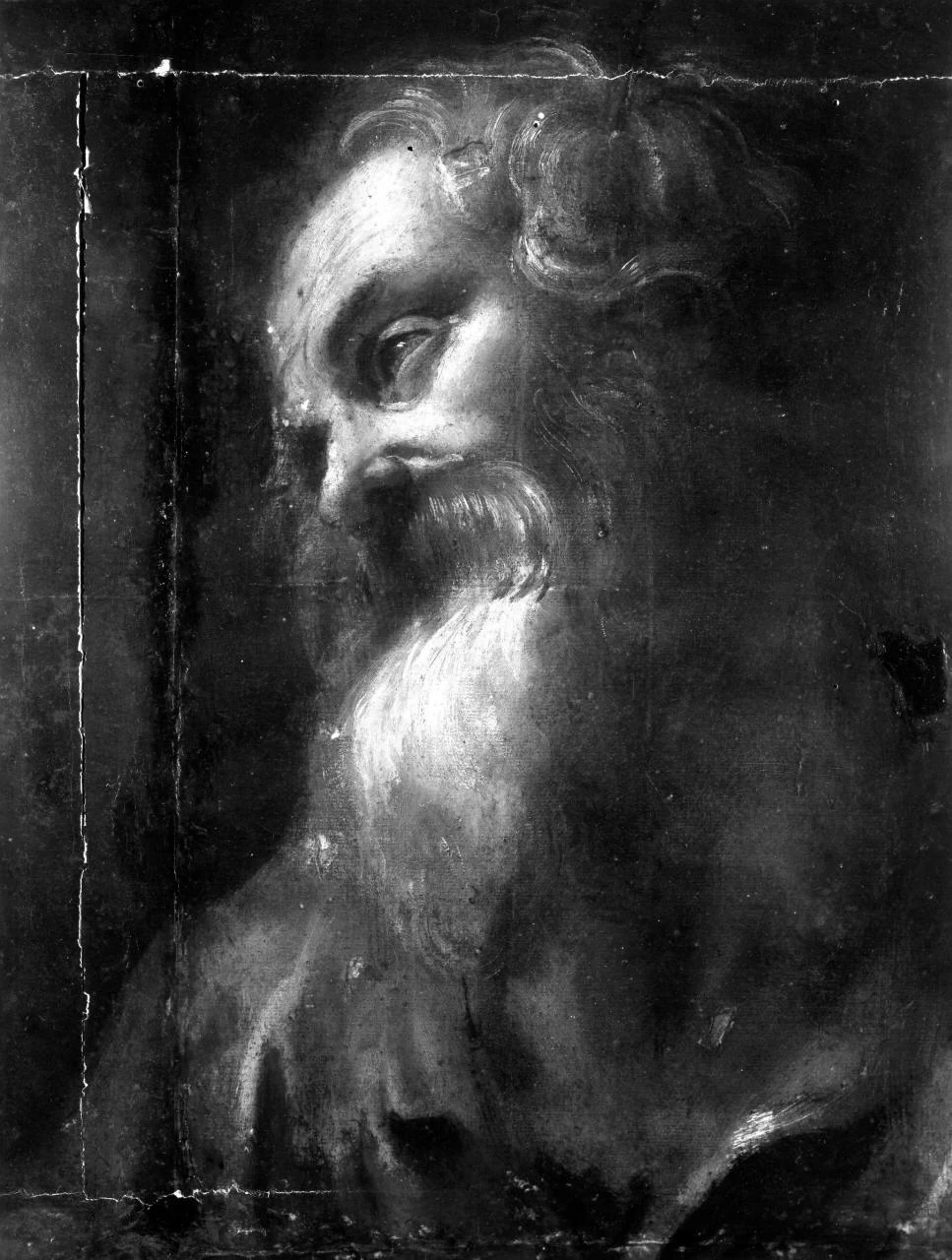 Testa d'uomo con barba - Firenze 1